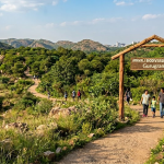 Aravali Biodiversity Park Gurugram: Perfect Spot for Morning Walks & Nature Lovers