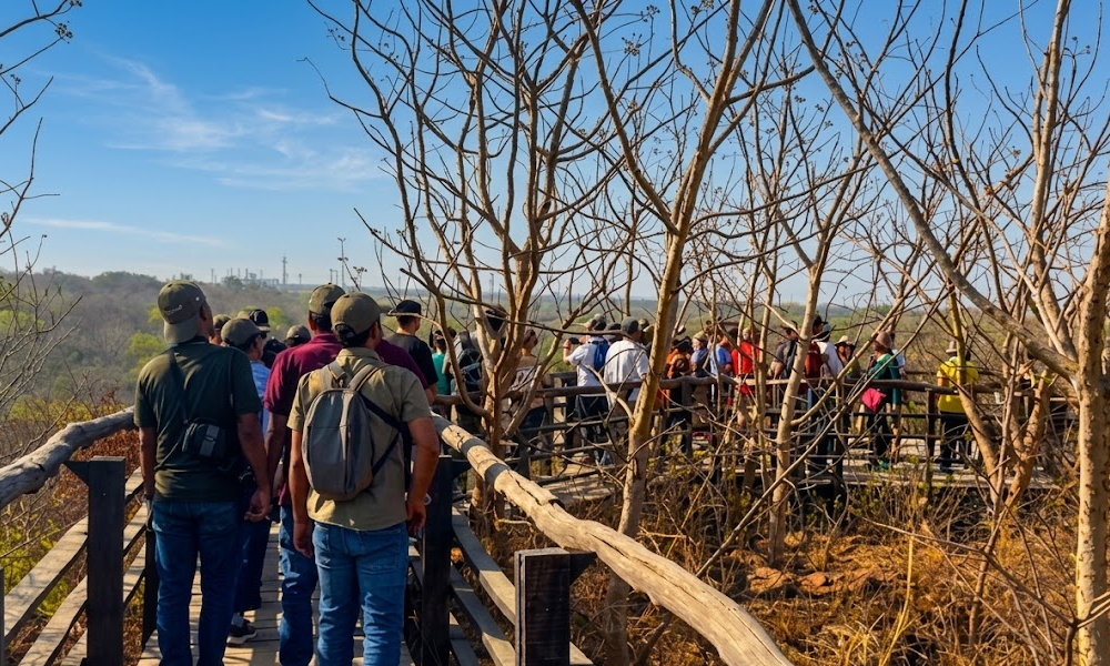 walking-trekking-trails
